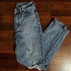 American Eagle Mom Jean 00 short